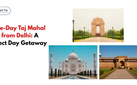Same-Day Taj Mahal Tour from Delhi: A Perfect Day Getaway