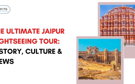 The Ultimate Jaipur Sightseeing Tour: History, Culture & Views