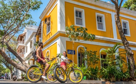 Explore the Best of Pondicherry with Tour Packages
