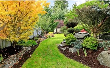 Turn Your Vision into Reality with Expert Landscaping in Manassas, VA
