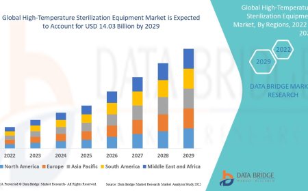 High-Temperature Sterilization Equipment Market Trends 2025: Industrial Demand & Safety Standards