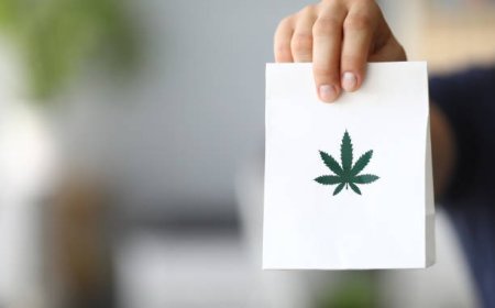 Same Day Marijuana Delivery: The New Standard for Cannabis Convenience in California