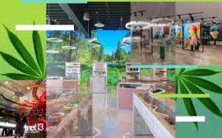 Exploring the Cannabis Dispensary Arts District: A Cultural and Cannabis Experience
