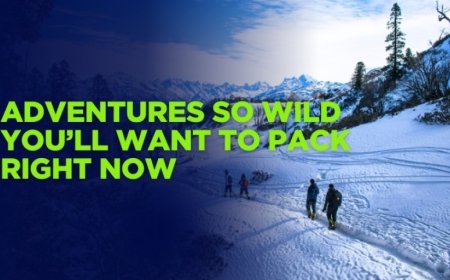 Best Family-Friendly Vacation Spots for Every Season