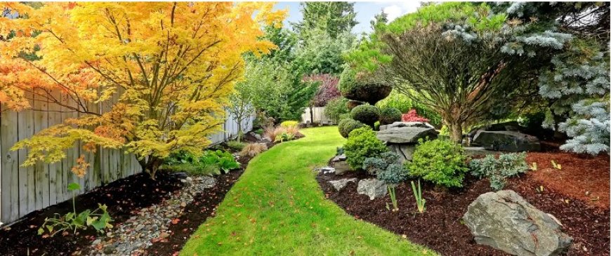 Turn Your Vision into Reality with Expert Landscaping in Manassas, VA