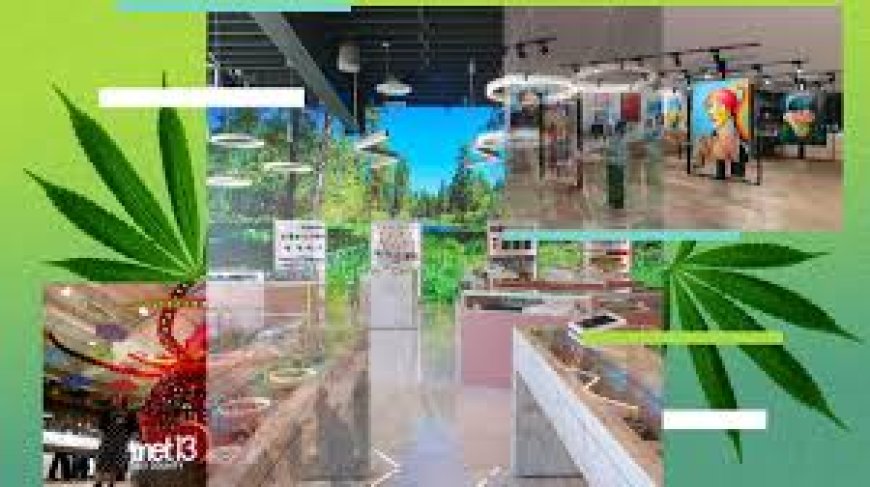 Exploring the Cannabis Dispensary Arts District: A Cultural and Cannabis Experience