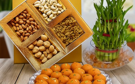 Celebrate the Bond of Love Send Rakhi Gifts to Noida with Ease