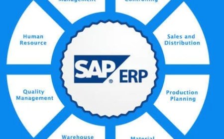 What is the SAP Clean Core Strategy?