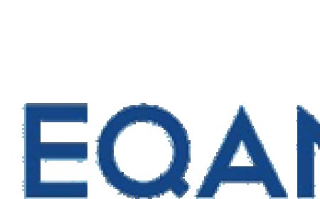 Precision Meets Performance: Why Eqanim is the Go-To Software Testing Company in India