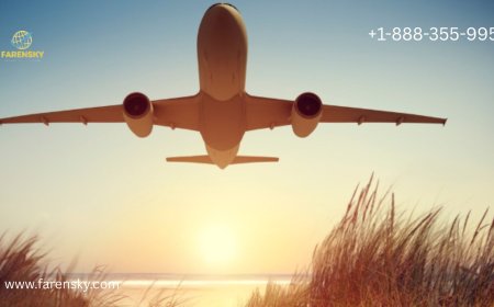 Iceland Air Customer Services Number? Get A Solution in A Minute!