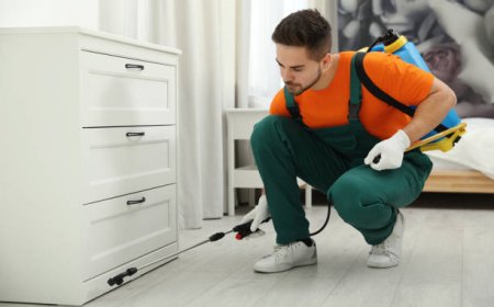 Effective Pest Control Services for a Safer, Healthier Home