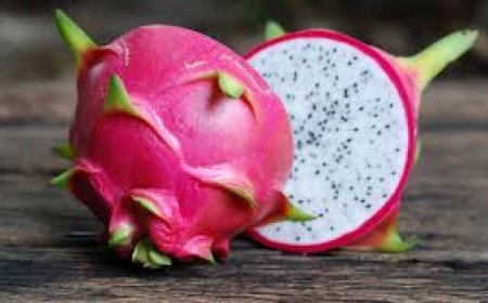 Dragon Fruit Benefits: Unlocking the Power of Pitaya for Your Health