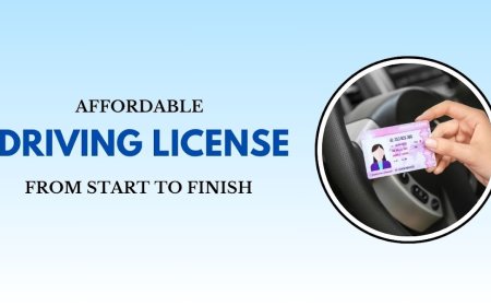 Affordable Driving Licence Services from Start to Finish