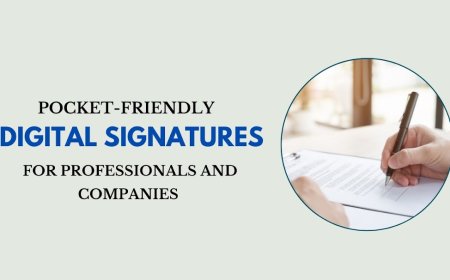 Pocket-Friendly Digital Signature for Professionals and Companies