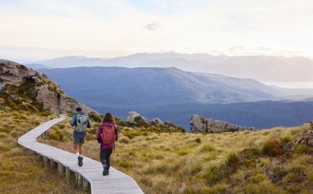 Explore the Magic of Aotearoa with New Zealand Travel Packages