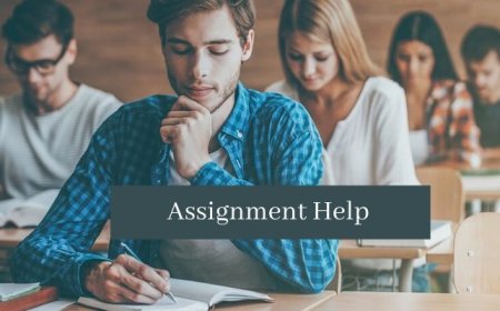 The Complete Guide to Finding the Best Assignment for Help: Why Locus Assignments Leads the Way