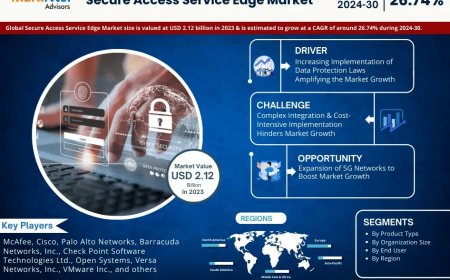 Secure Access Service Edge Market Trends 2024–2030: Outlook, Value & Key Companies
