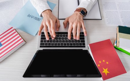 Unlocking Global Success with Professional Transcreation and Translation Services