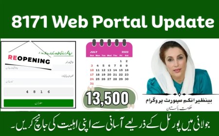8171 Web Portal July 2025 Update – Check CNIC for Rs. 13,500 BISP Payment