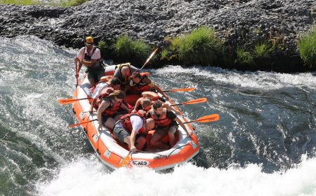Discover Your Wild Side: Unforgettable Rogue River Adventures Oregon Await