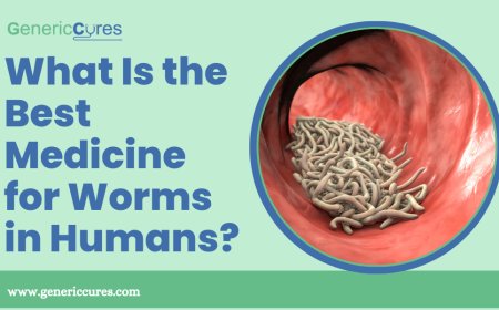 What Is the Best Medicine for Worms in Humans?