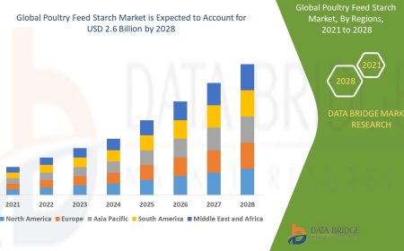 Poultry Feed Starch Market Overview: Trends, Challenges, and Forecast to 2028