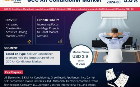 Digital Twin Market Share & Forecast 2024–2030: Insights & Drivers