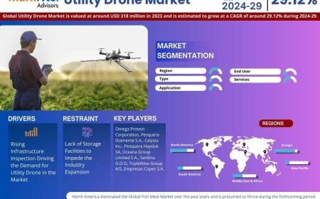Utility Drone Market Share & Forecast 2024–2029: Insights & Drivers