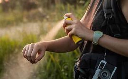 Mosquito Repellent Market Leads in Personal Safety Product Category 2025–2035