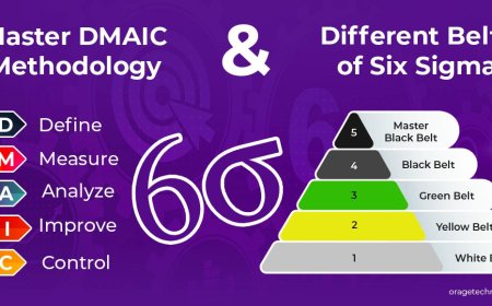 Mastering Six Sigma: A Beginner’s Guide to DMAIC and Process Improvement