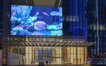 Top 10 Emerging LED Display Screen Trends to Watch in 2025