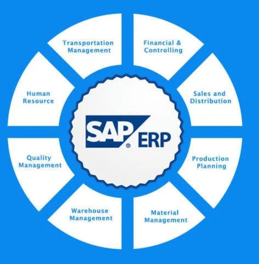 What is the SAP Clean Core Strategy?