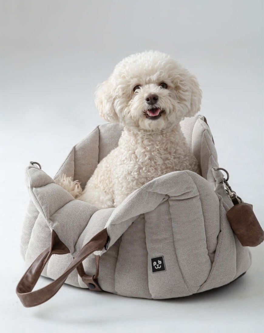 Choosing the Right Dog Carrier for Safe and Comfortable Travel