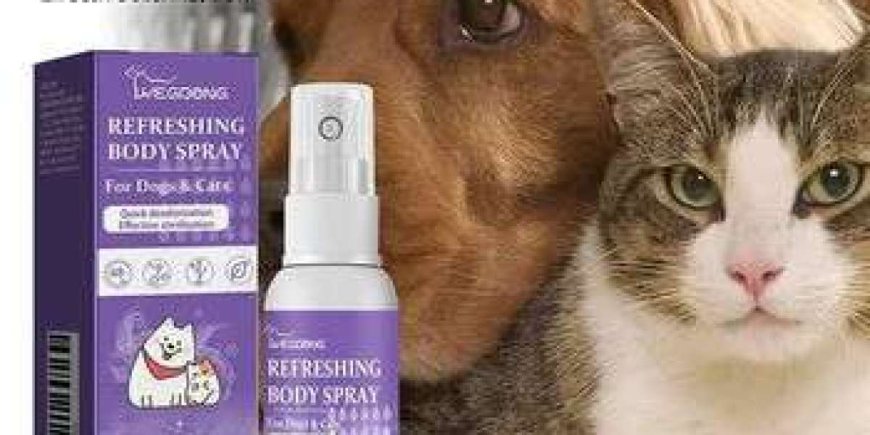 How to Keep Your Home Clean and Safe for Your Pets with Eco-Friendly Products