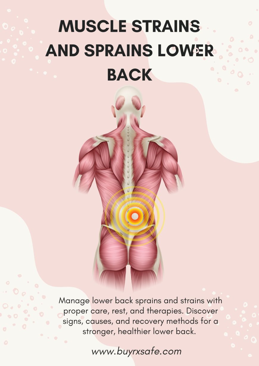 Recovering from a Lumbar Strain: Symptoms and Solutions