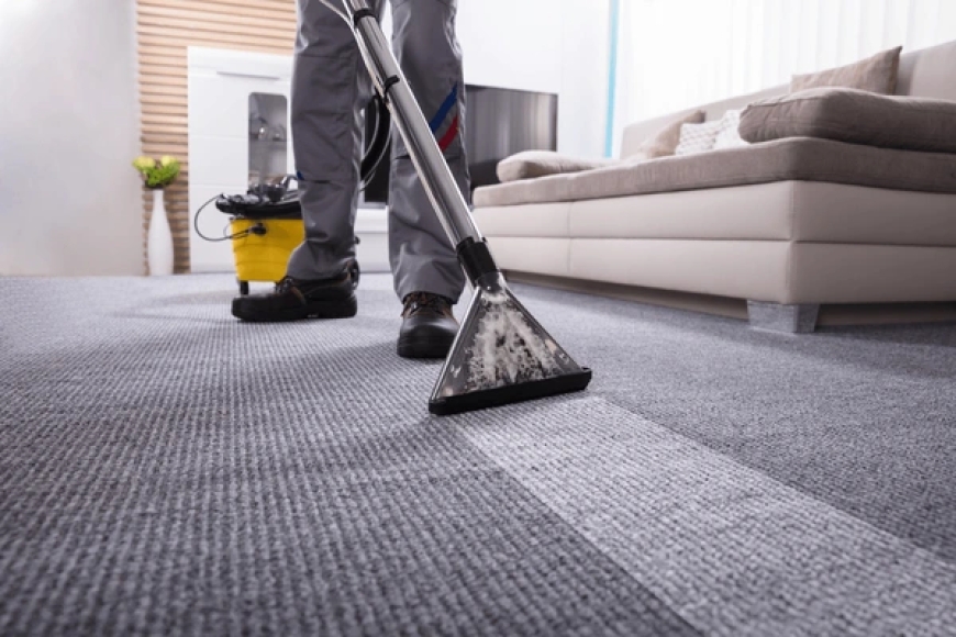 Elevate Your Home’s Cleanliness with Professional Carpet Cleaning Services