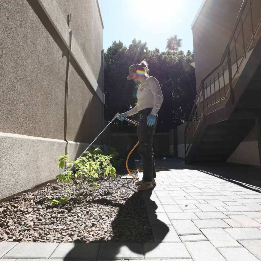 Top-Notch Pest Control in Dubai: Keep Your Home Pest-Free