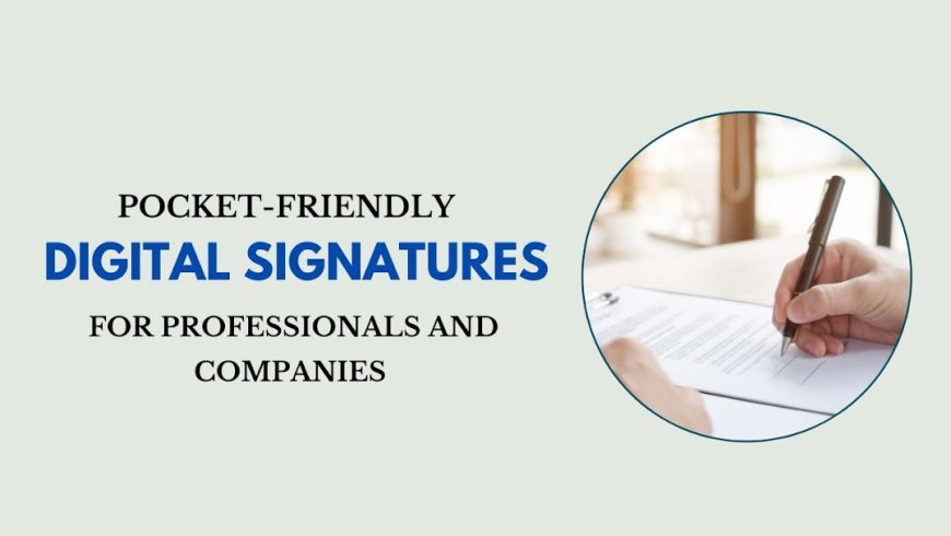 Pocket-Friendly Digital Signature for Professionals and Companies