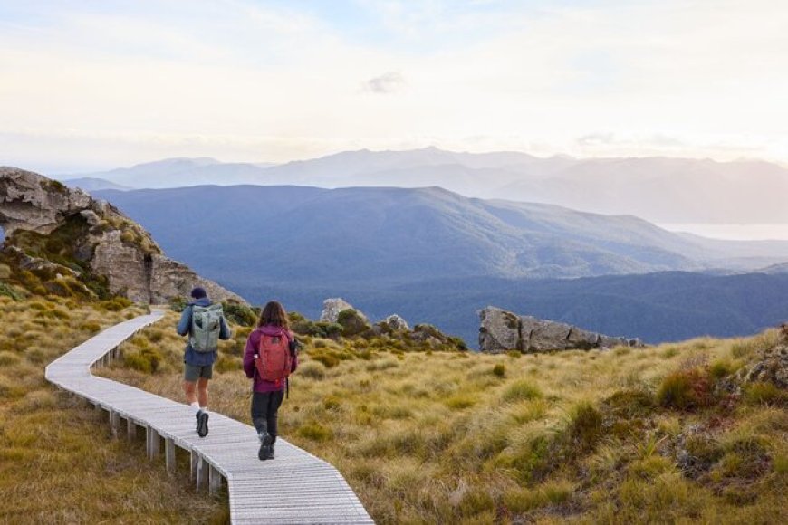 Explore the Magic of Aotearoa with New Zealand Travel Packages