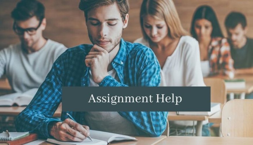 The Complete Guide to Finding the Best Assignment for Help: Why Locus Assignments Leads the Way