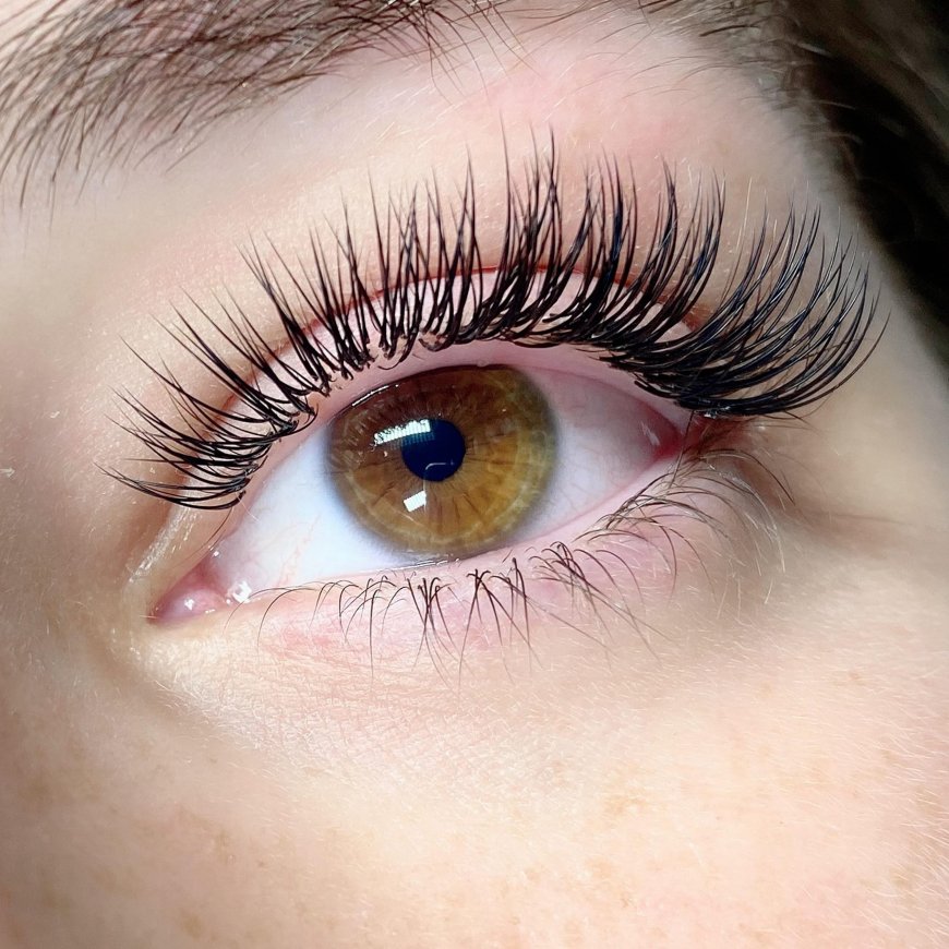 Why Professional Lash Extensions Are Worth the Investment