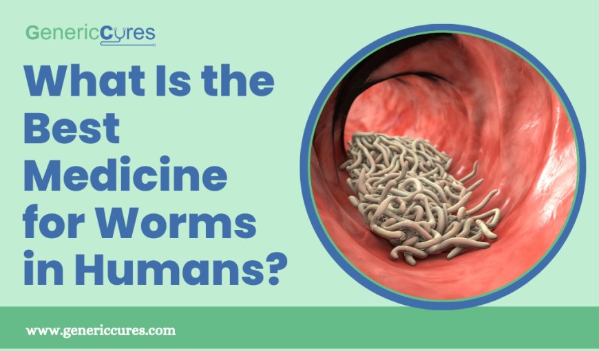 What Is the Best Medicine for Worms in Humans?