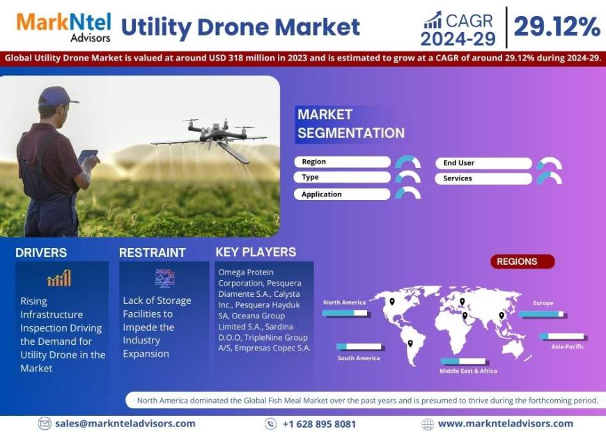 Utility Drone Market Share & Forecast 2024–2029: Insights & Drivers