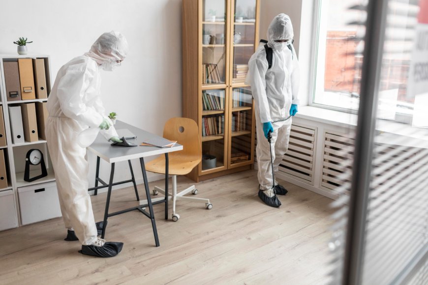 Comparing Pest Control Services in Hoschton and Loganville GA What You Should Know