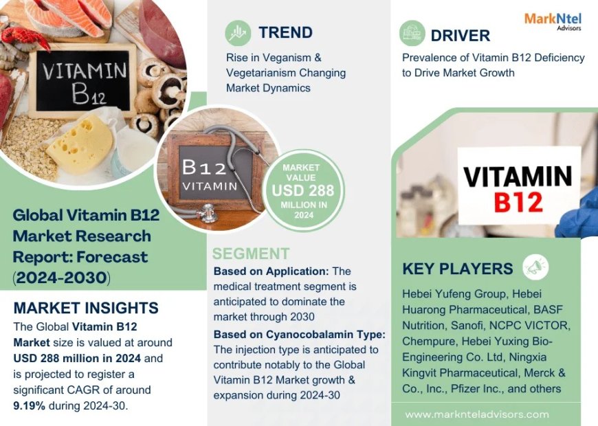 Vitamin B12 Market Share & Forecast 2024–2030: Insights & Drivers