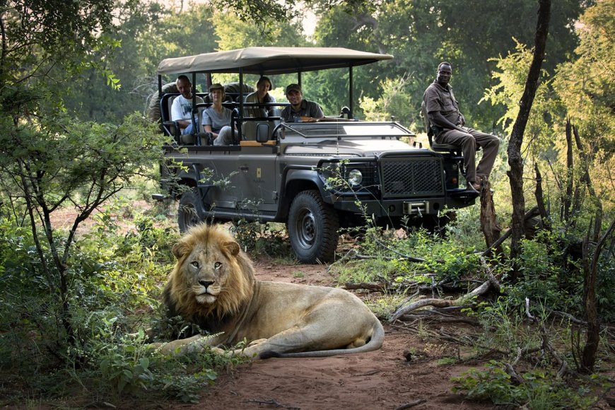 Is the African Safari a Bad Experience?