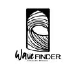 wave